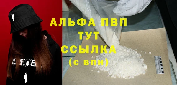 СК Алексин