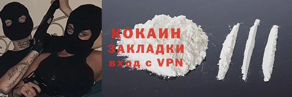 СК Алексин
