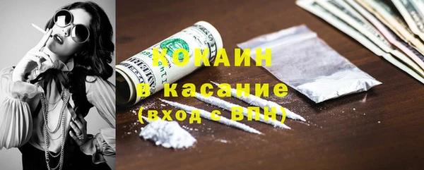СК Алексин